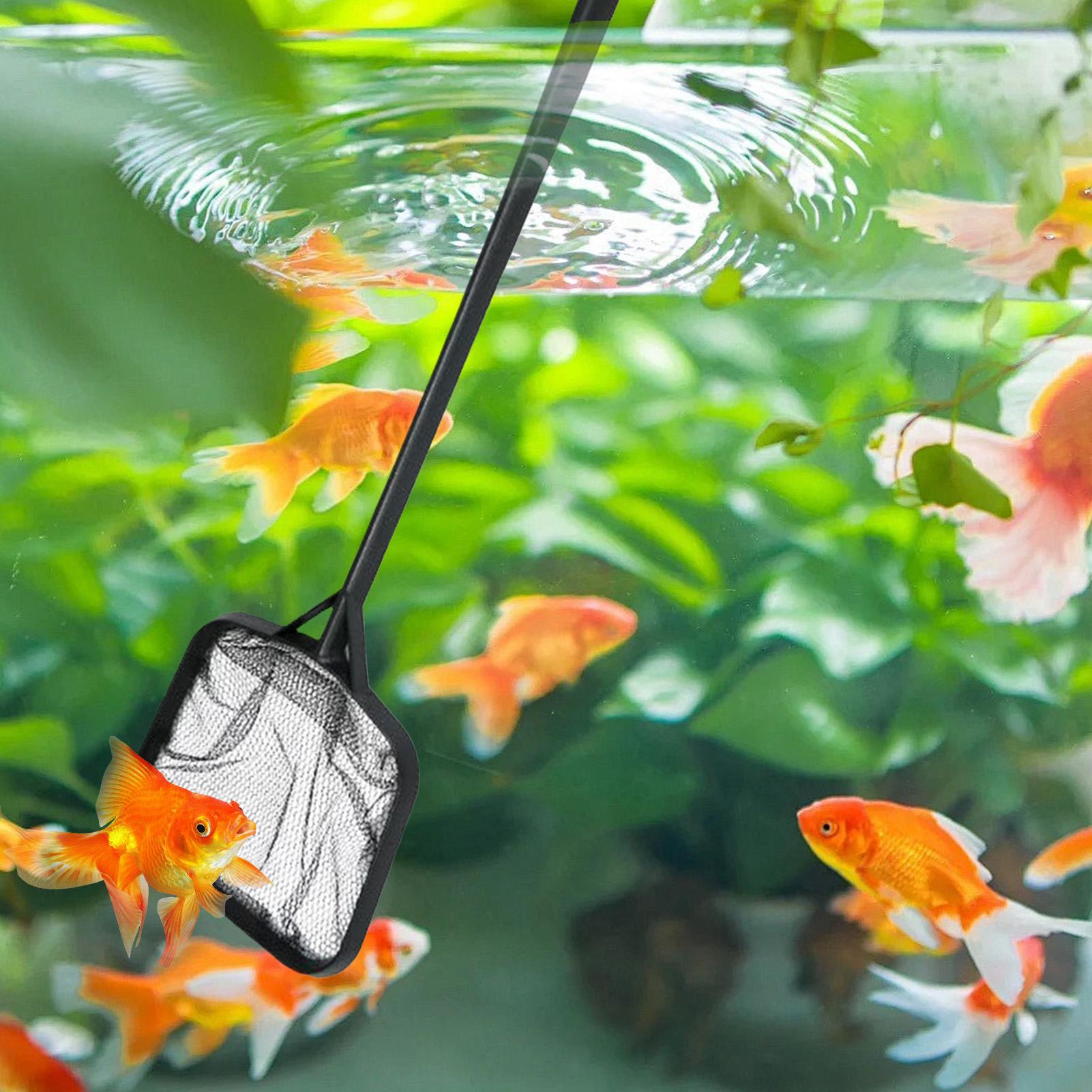 Сетки для чистки бассейнов, по – обзор и цена Marine Aquarium Equipment