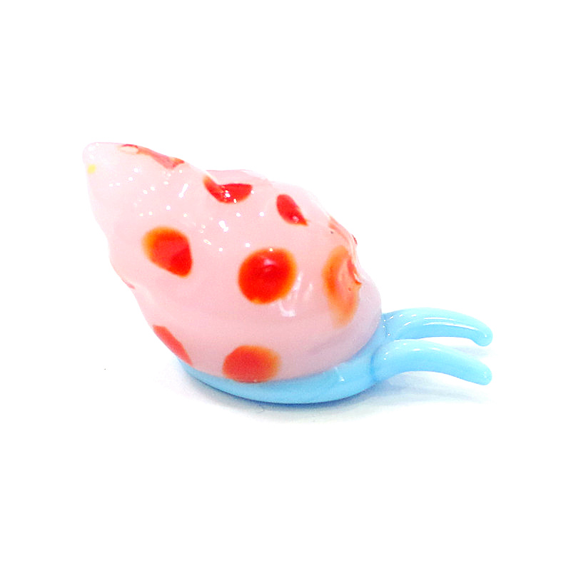 Симпатичные мурано стеклянные  – обзор и цена Marine Aquarium & Regional Centre