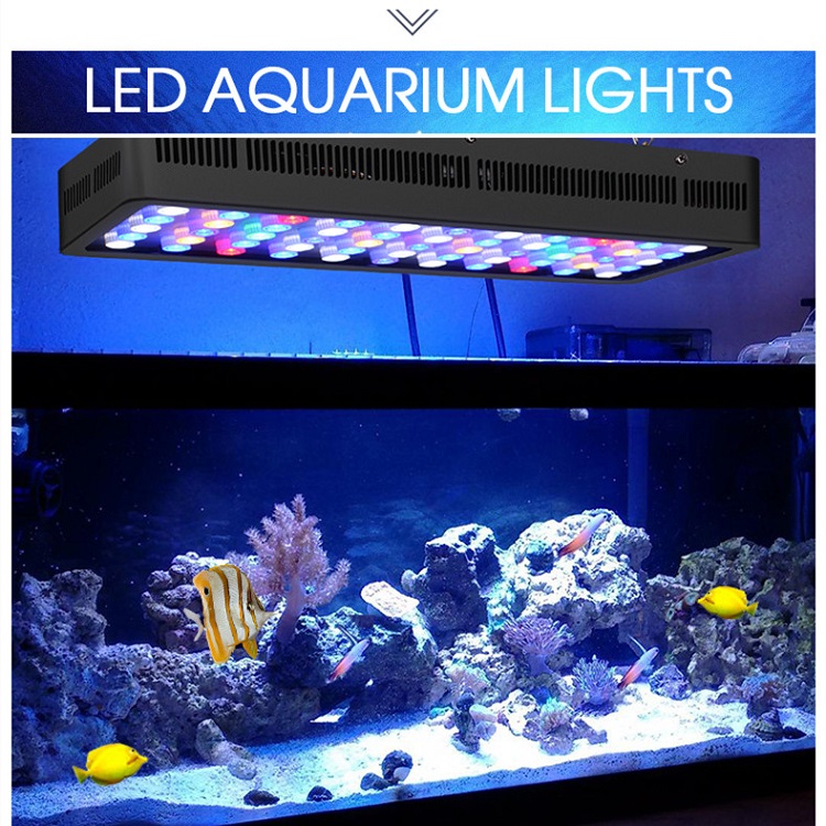 BT беспроводное управление DIY – обзор и цена Marine Aquarium Price