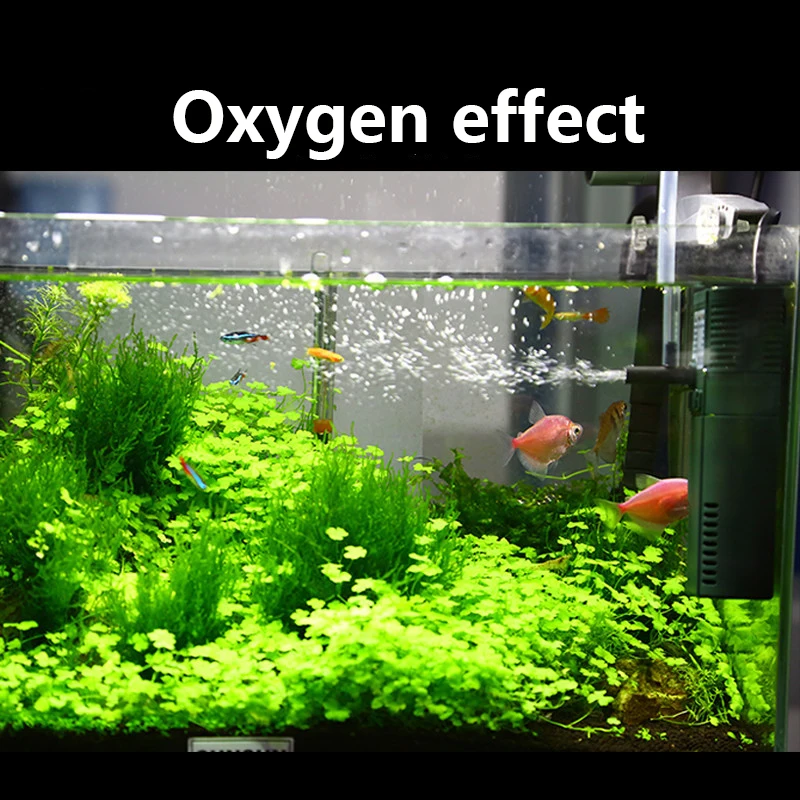 SUNSUN mini nano 111B 311B 611 – обзор и цена Marine Aquarium Protein Skimmer